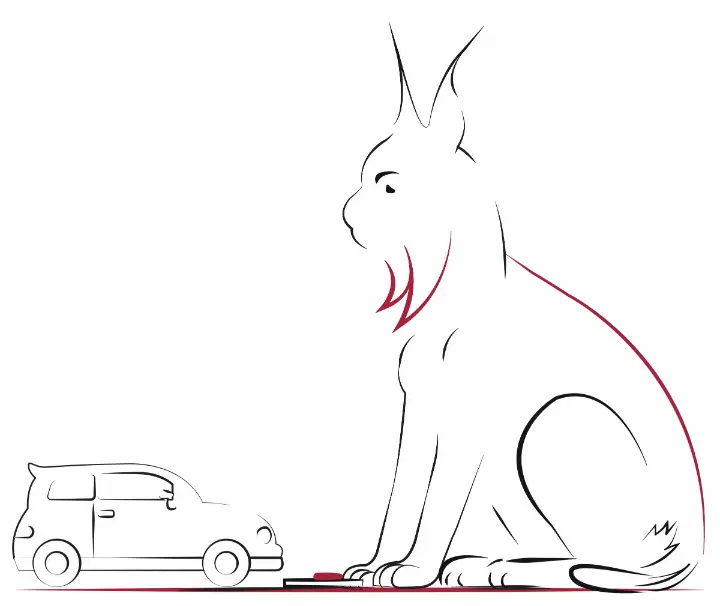 Waidler Auto Inspection