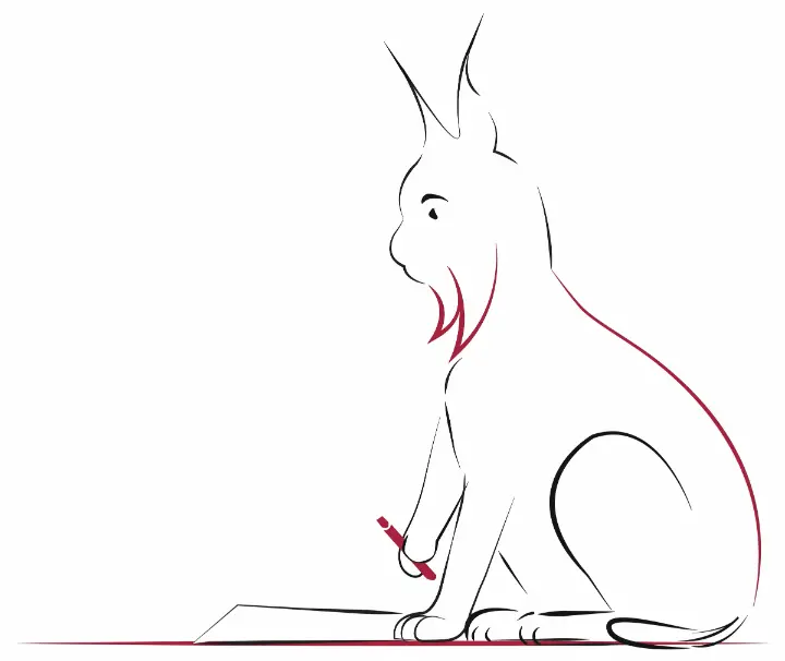 Waidler Forensic Animation